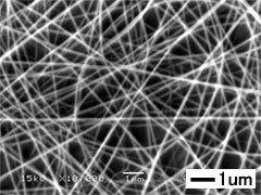 Polyacrylonitrile (PAN) nanofiber