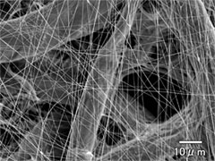 Polyacrylonitrile (PAN) nanofiber